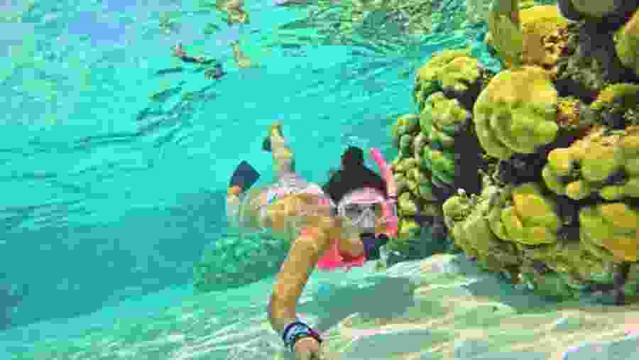 Snorkelling