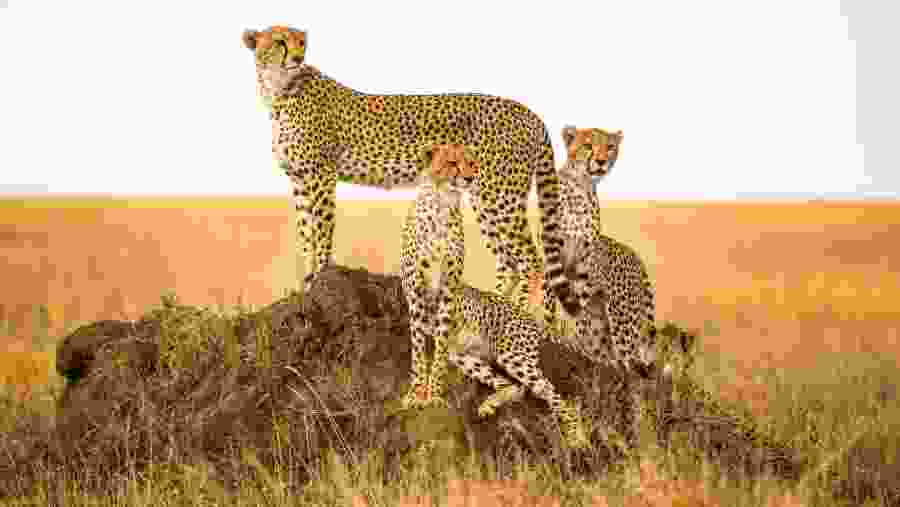 Serengeti National Park