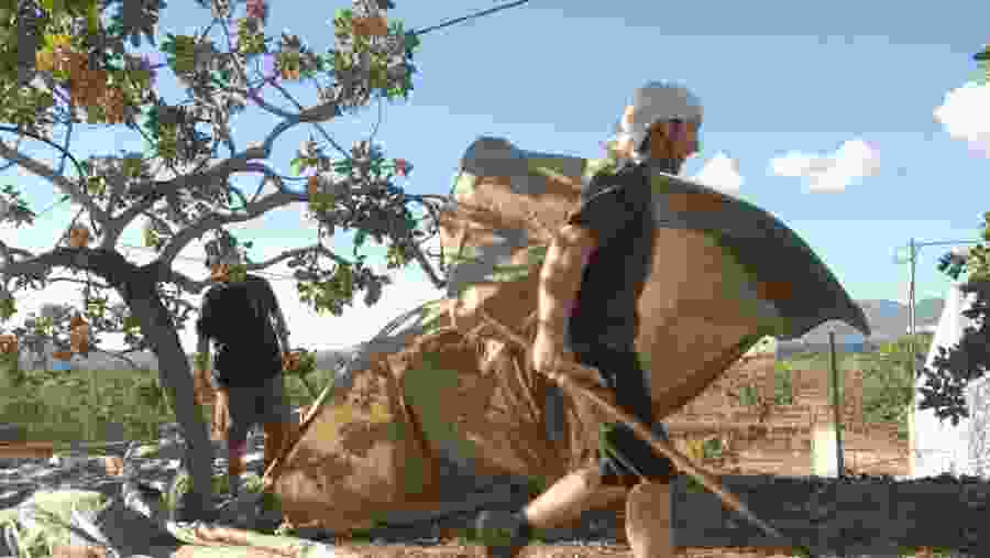 Organic Pistachio Tour