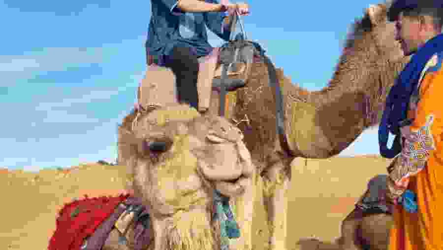 Camel Ride