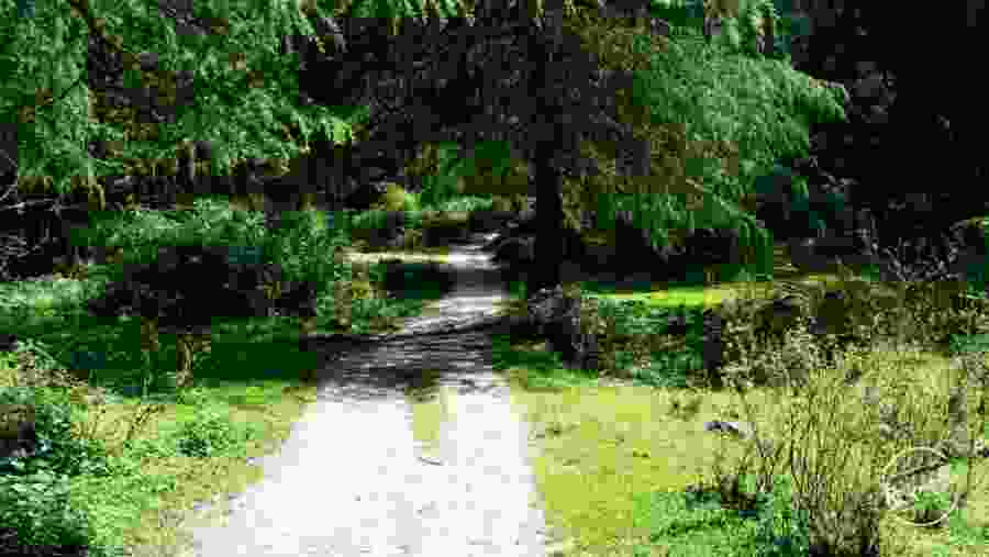 Explore the Untouched Paths