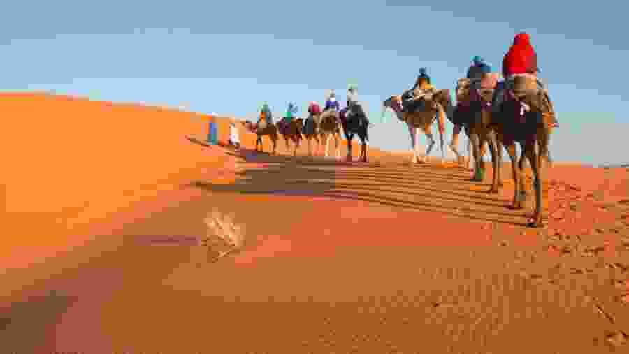 Travelers camel riding in the Moroccan Desert