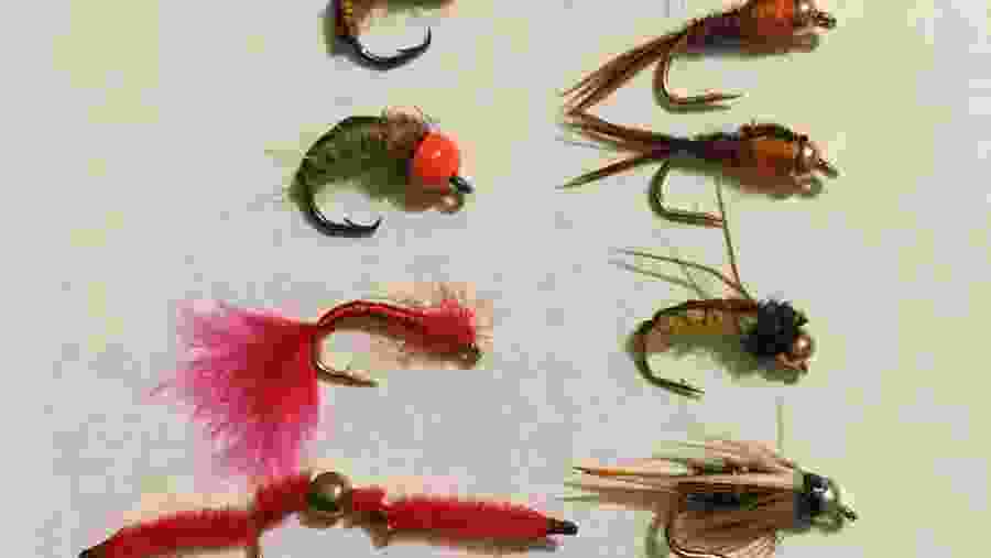 Fly Fishing Tour In South Africa