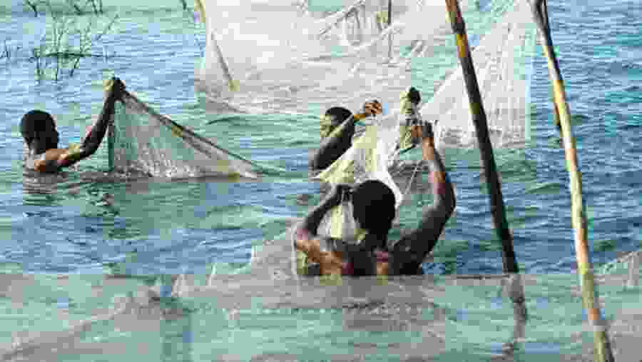 Fishing