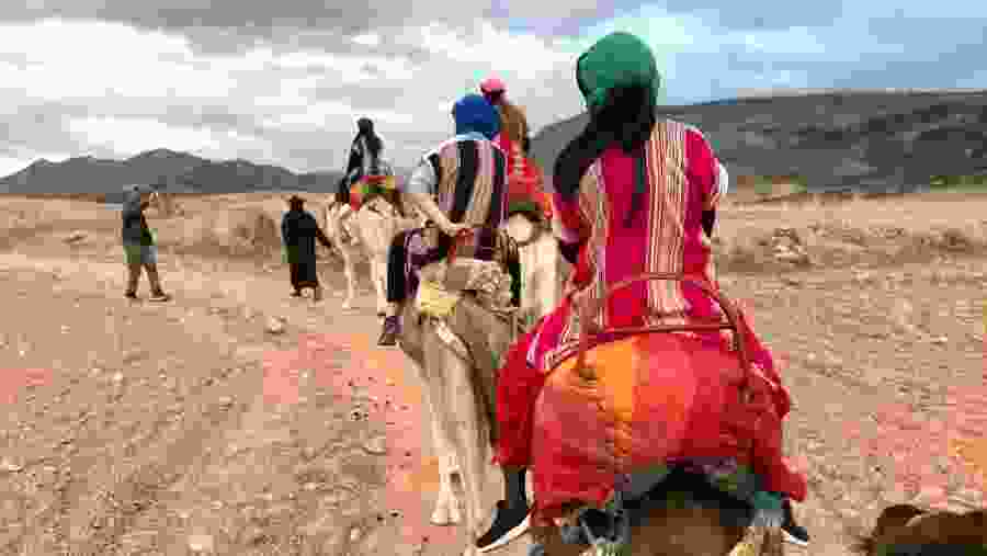 Camel Riding