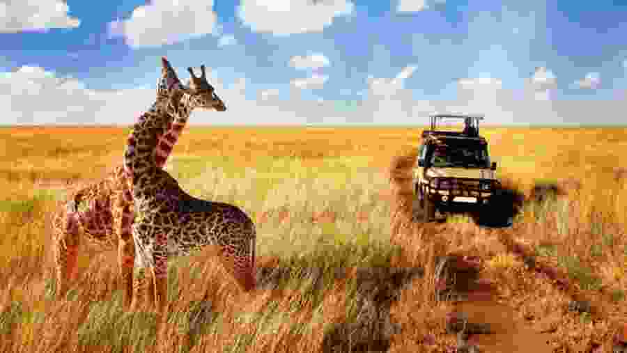 Tarangire National Park