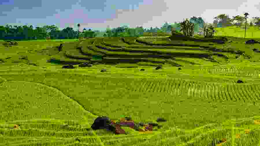 Khu Bảo Tồn Thiên Nhiên Pù Luông