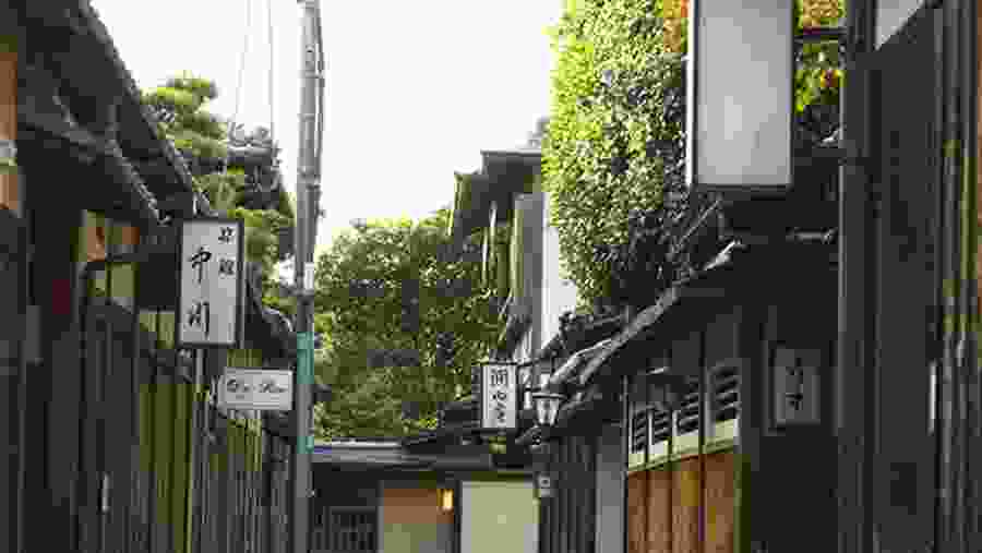 Yokohama Food Tour