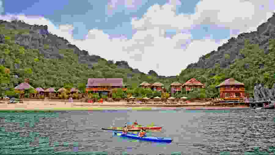 Monkey Island Resort