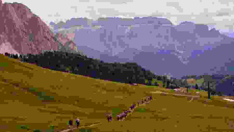 Traverse scenic trails