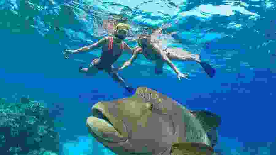 Hurghada - Red Sea Snorkeling Adventure