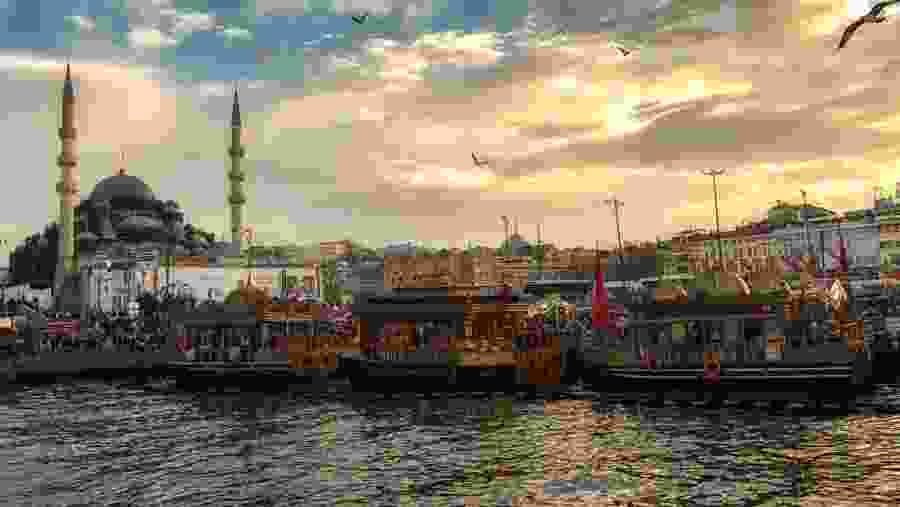 The City Highlights on Shore Excursions