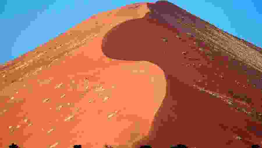 Dune 45 in Sossusvlei