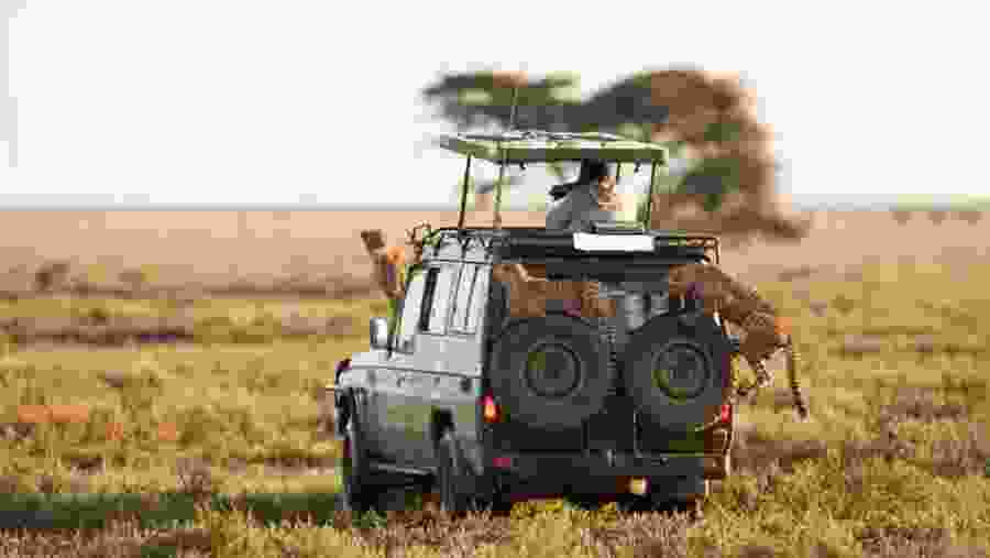 Maasai Mara National Reserve