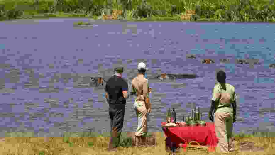 Marvel at up close animal experiences