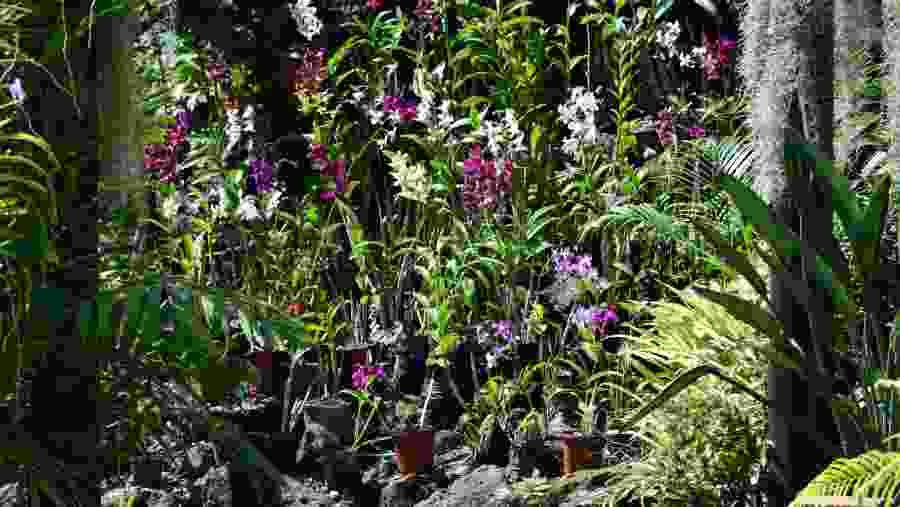 Gardens of Sleeping Giants