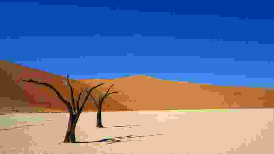 Desserted in Deadvlei