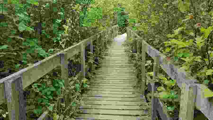 Hike in Remerschen