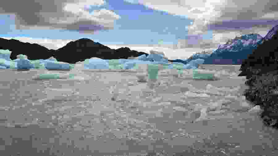 Grey Glacier