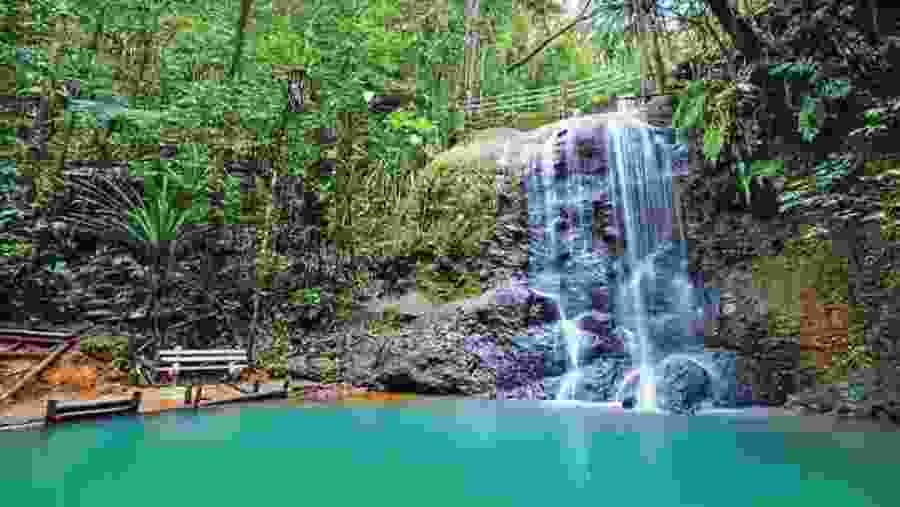 Colo-I-Suva Nature Reserve
