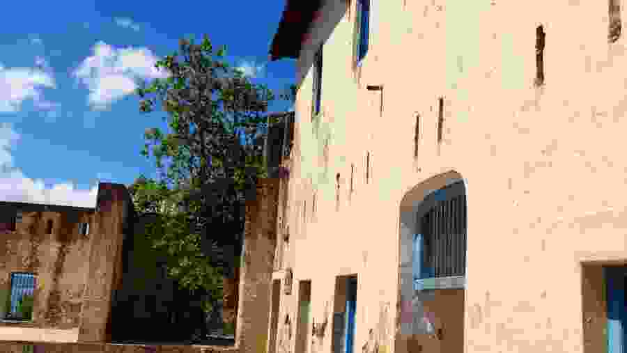 Explore the streets of Stone Town