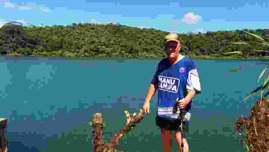 The lake on a fine day - an unusual green