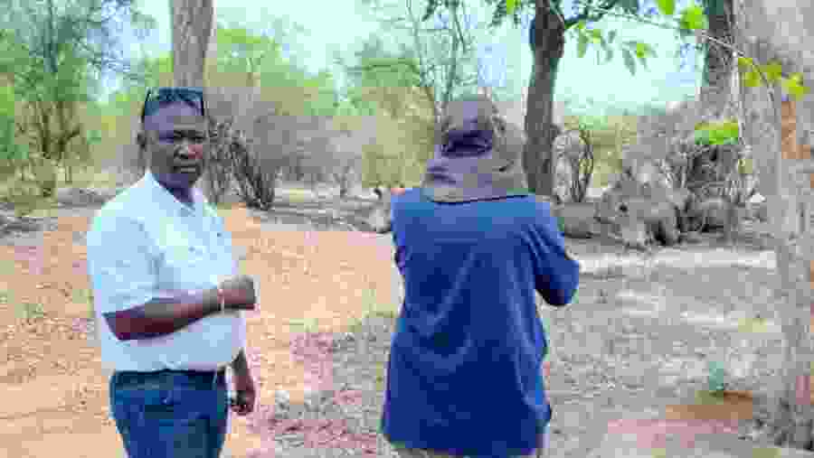 Walking Safari in  Mosi Oa tunya National park