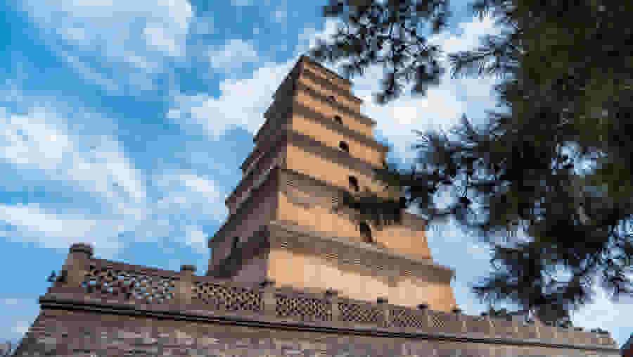 Admire the Big Wild Goose Pagoda