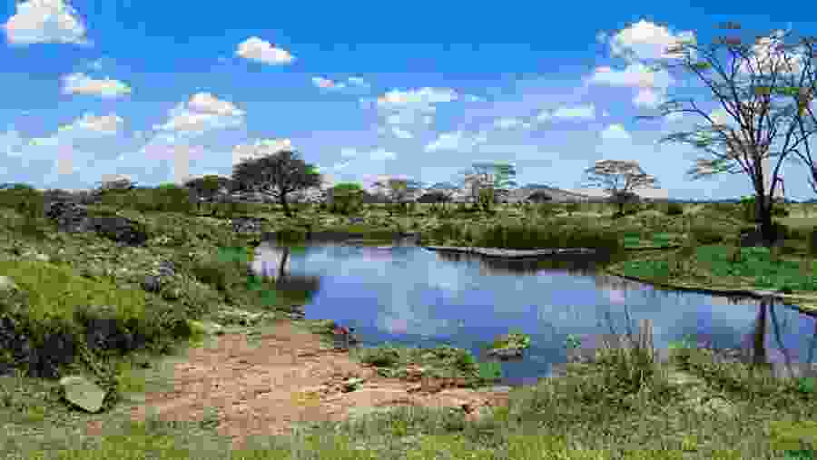 Experience majestic views at Serengeti National Park