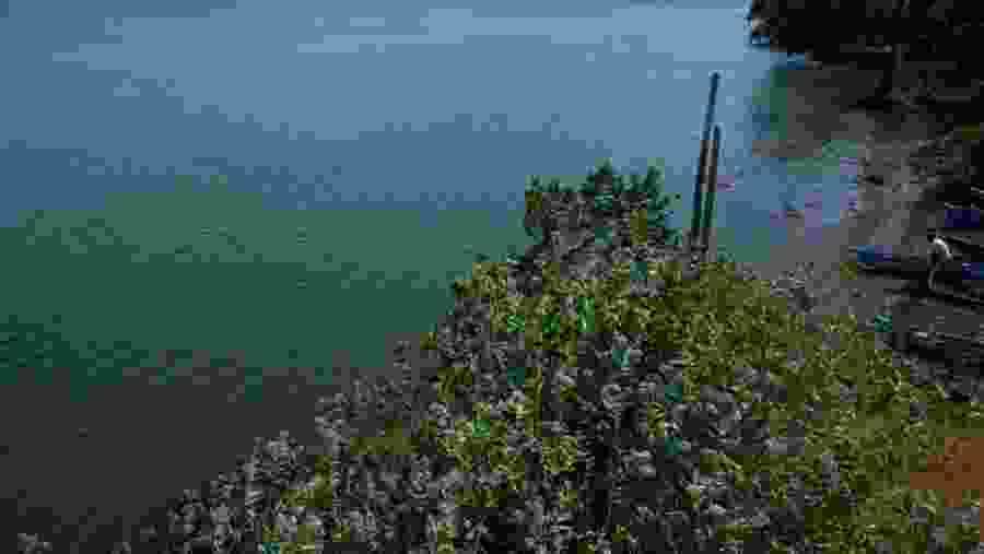 Escape Into Wilderness Jet Ski Safari