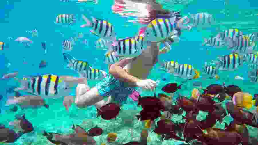 Tourist swimming with fish