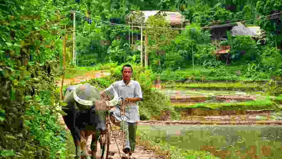 Local People in Pu Luong Nature Reserve