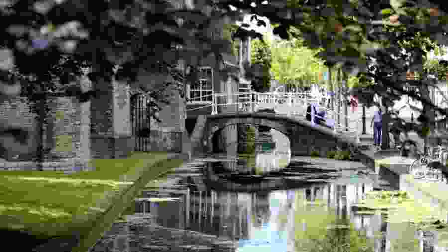 Stroll through the Streets of Rotterdam, Netherlands