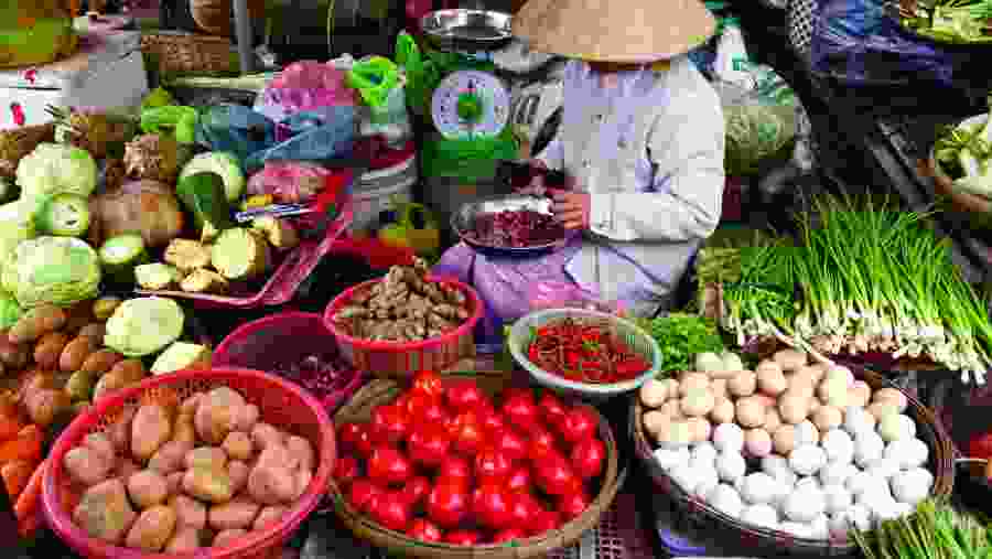 Hanoi Market