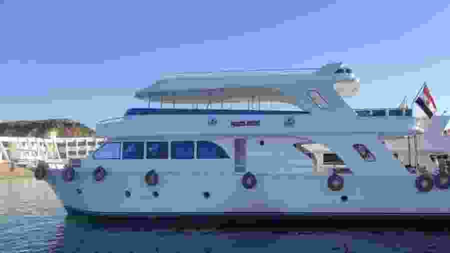 Embark on a private boat at White Island