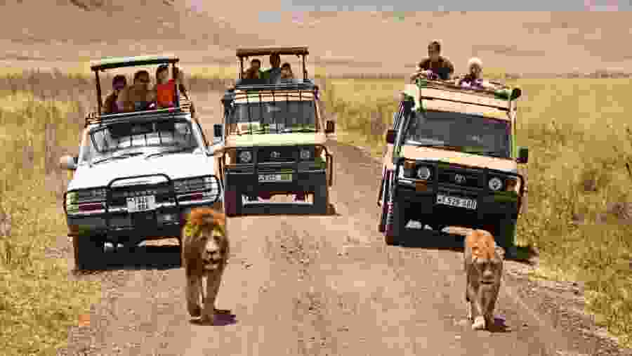 Embark on a fun jeep safari