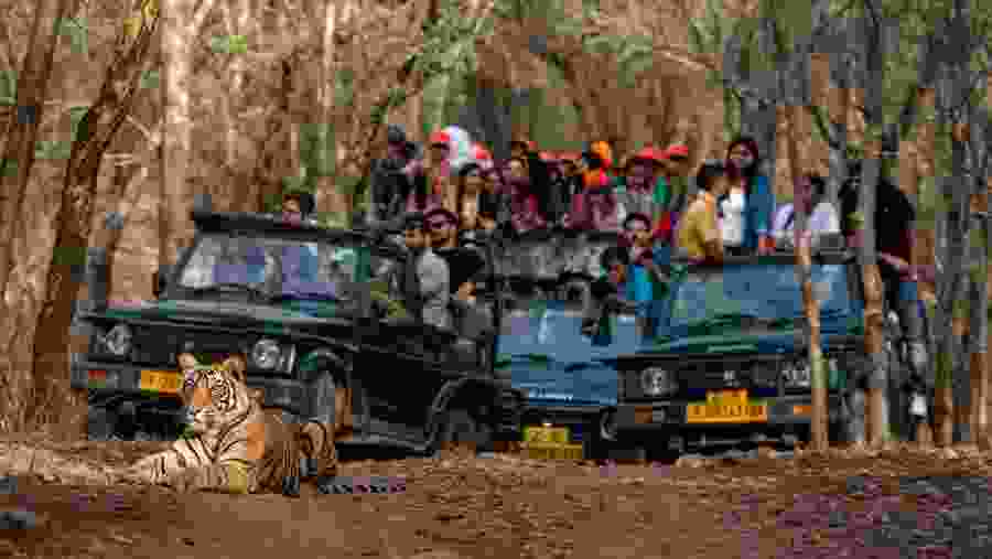 Jeep Safari