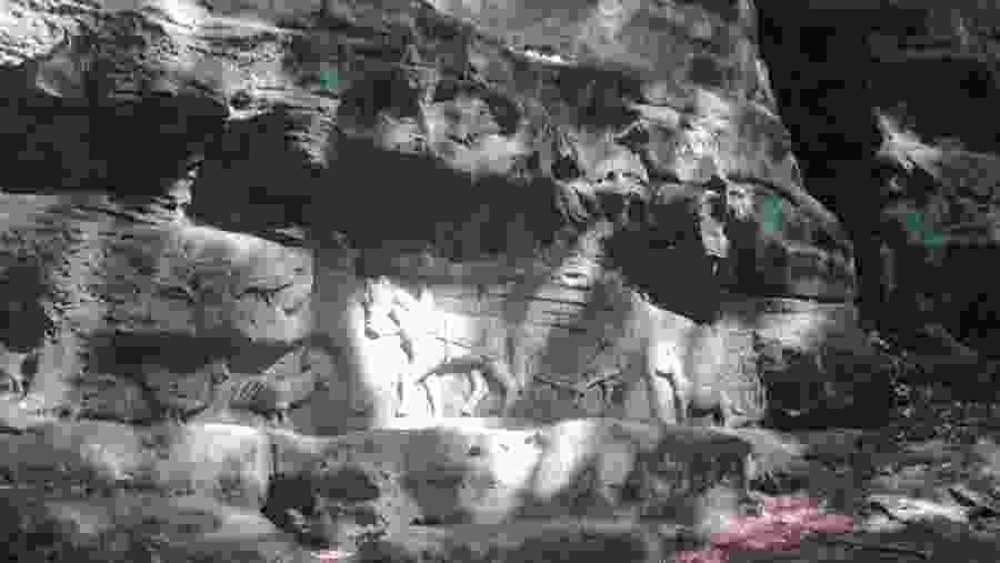Rock Carvings