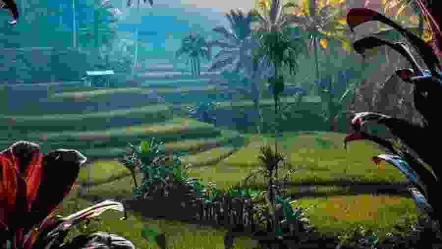 Tegallalang Rice Terrace