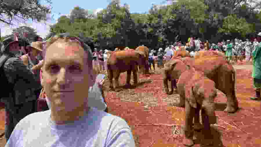 Young elephants at the David Sheldrick Wildlife Trust