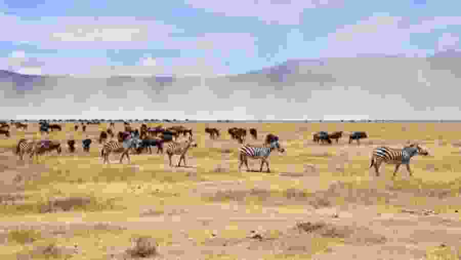 Serengeti National Park