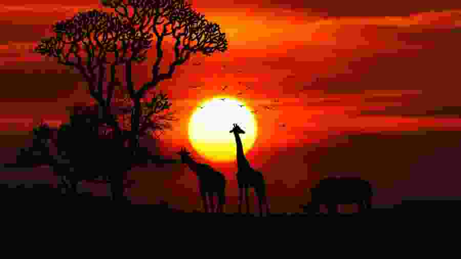 Sunset in Masai Mara