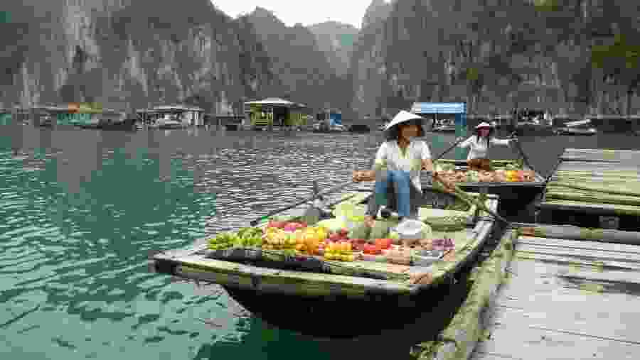 Halong Bay