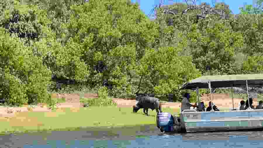 Boat Cruise at Chobe National Park