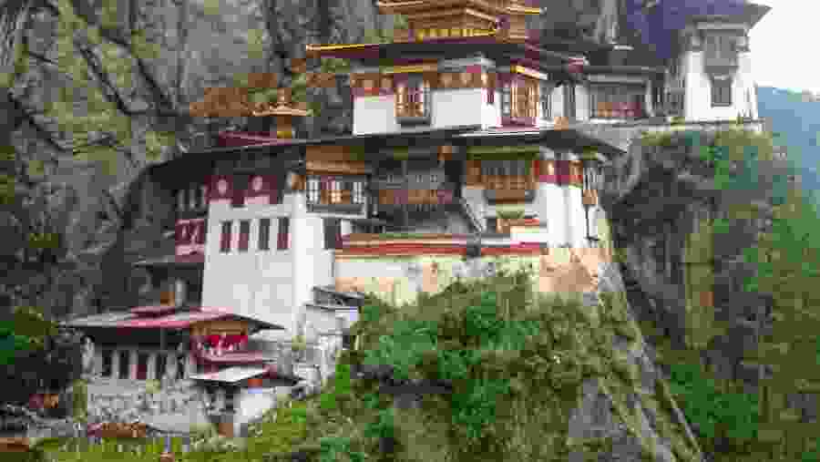 Tiger Next Monastery