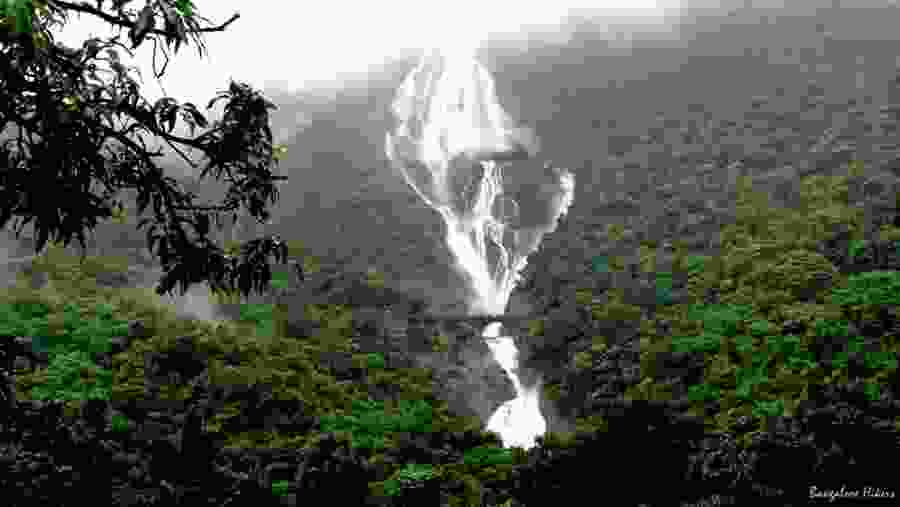 Admire the Dudhsagar Waterfalls