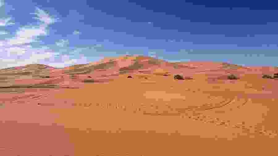 Sahara Desert