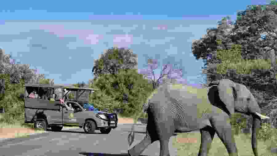 Kruger National Park