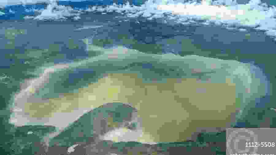Full-Day Ngorongoro Crater Safari Tour from Moshi or Arusha