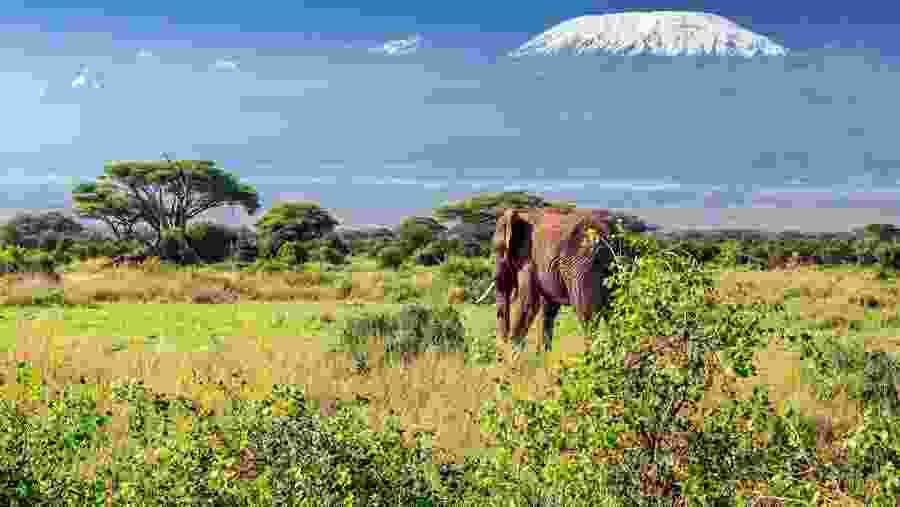 Mount Kilimanjaro National Park
